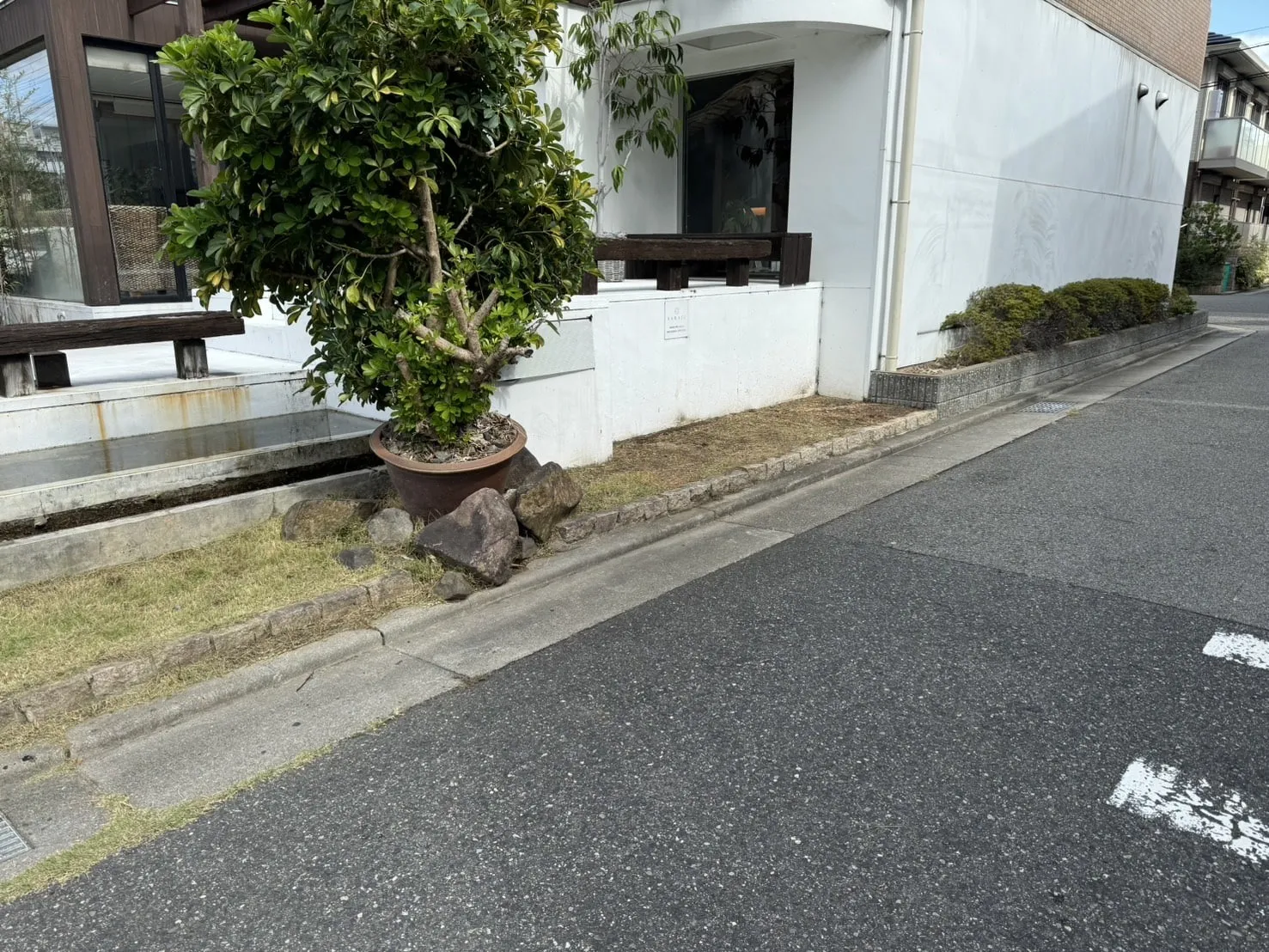 【西宮市北口町】マンションの剪定･除草･雑木除去