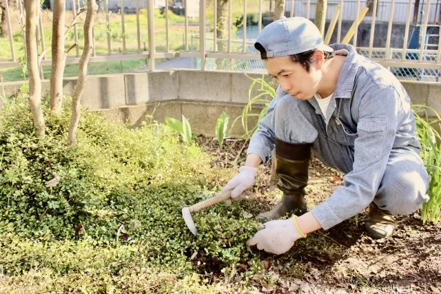 庭手入れの際のおすすめの服装について解説！長袖長ズボンが基本